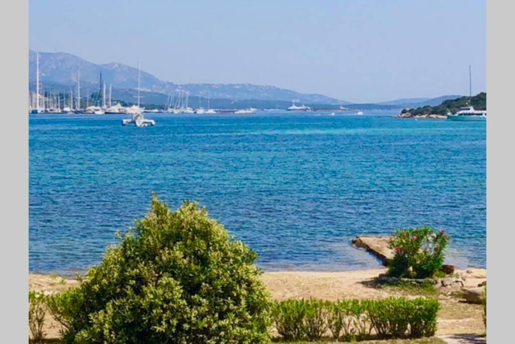Villa Oleandri Порто-Ротондо Экстерьер фото